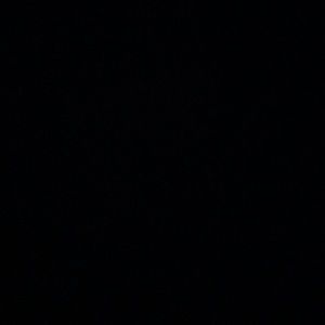 Meet your Posher, Pat